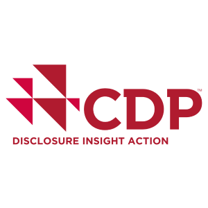 Logo CDP